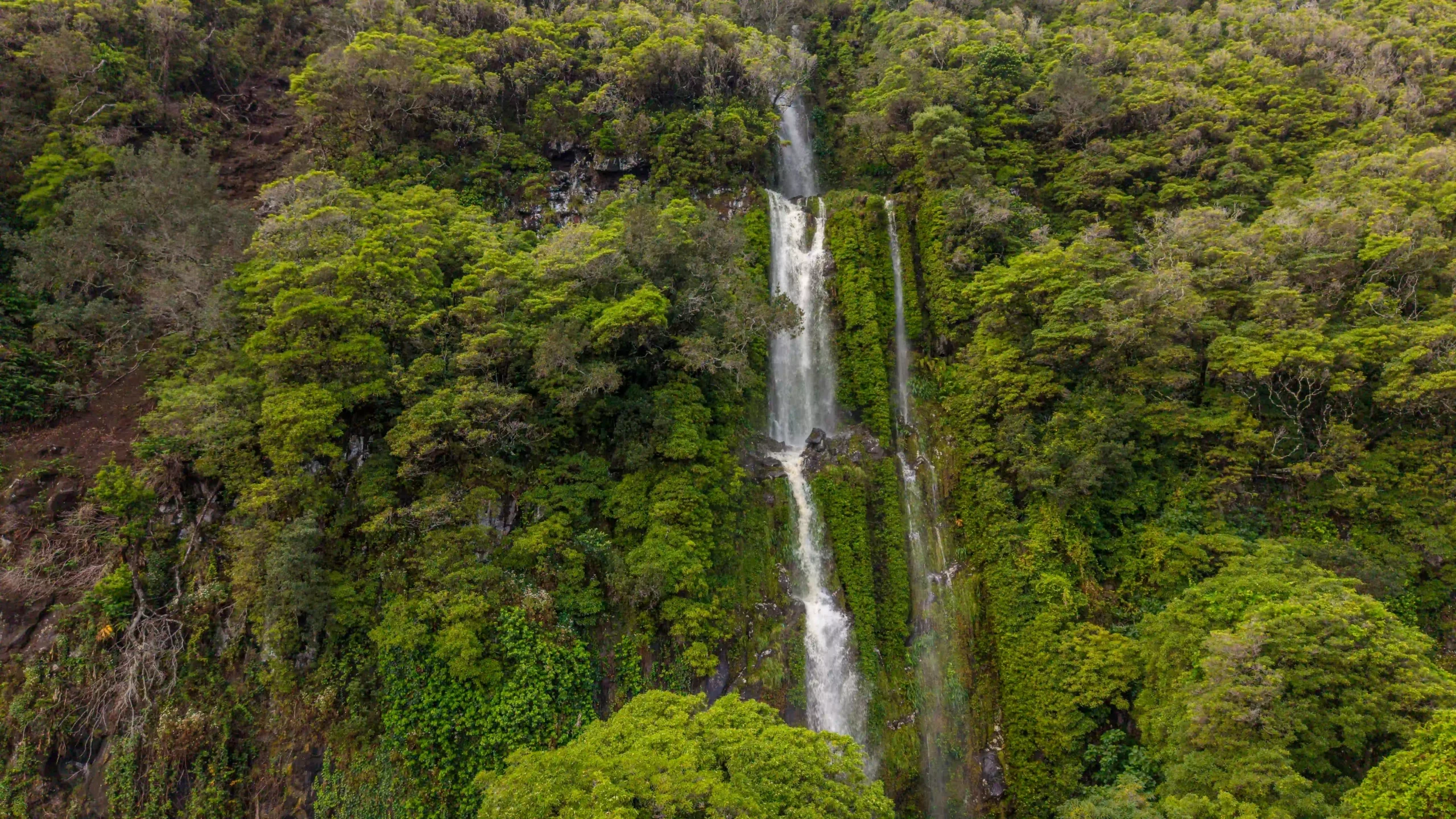 Baía de Canas