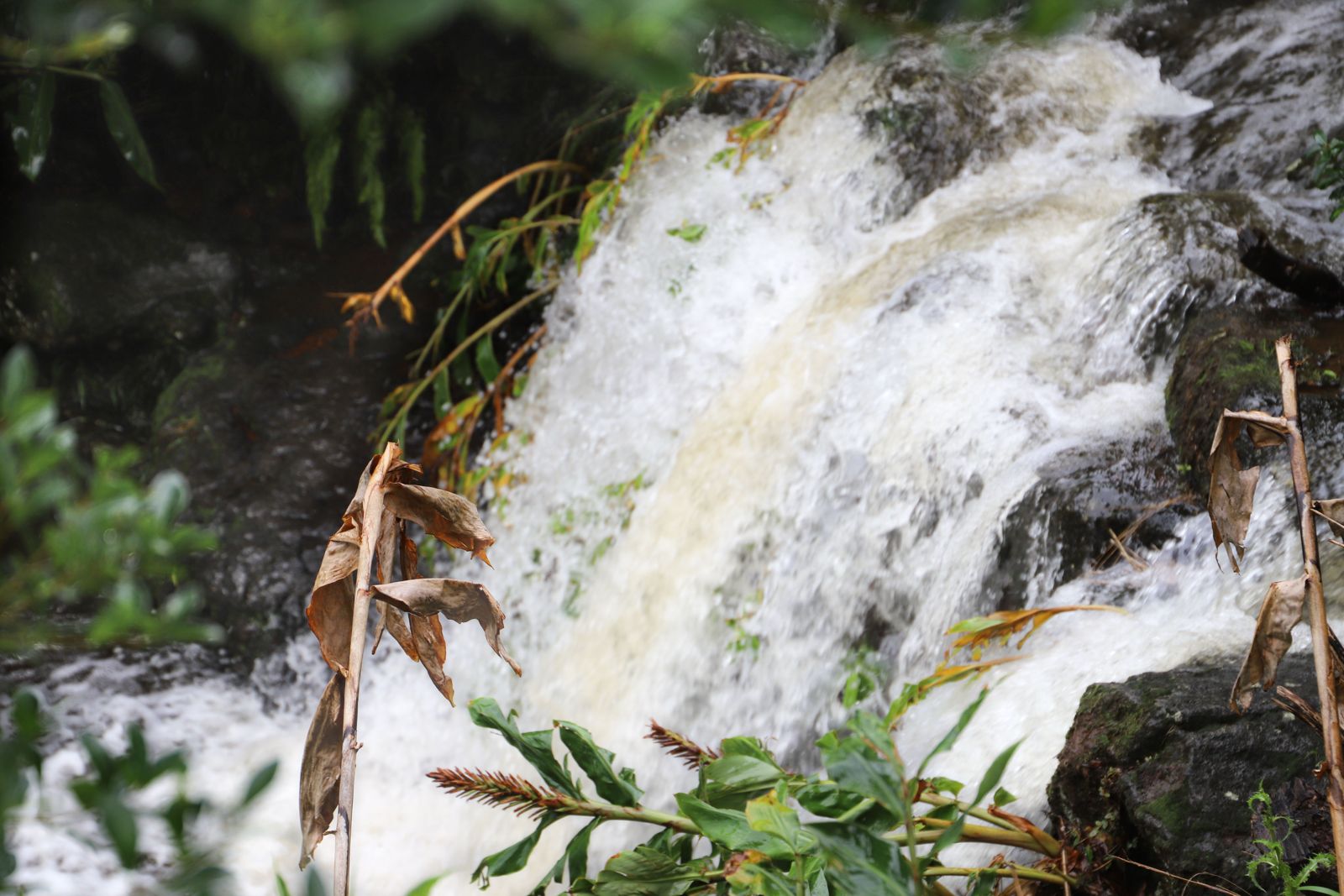 Explorar Watertrails